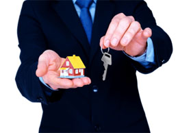 Real Estate Agencies & Brokers