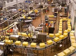 Manufacturing Companies