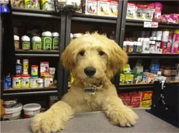 Pet Shops