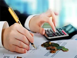 Chartered Accountant